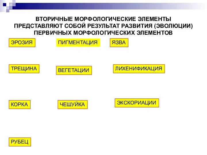 ВТОРИЧНЫЕ МОРФОЛОГИЧЕСКИЕ ЭЛЕМЕНТЫ ПРЕДСТАВЛЯЮТ СОБОЙ РЕЗУЛЬТАТ РАЗВИТИЯ (ЭВОЛЮЦИИ) ПЕРВИЧНЫХ МОРФОЛОГИЧЕСКИХ ЭЛЕМЕНТОВ