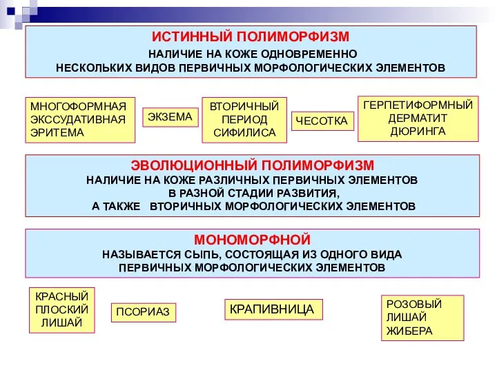 ИСТИННЫЙ ПОЛИМОРФИЗМ НАЛИЧИЕ НА КОЖЕ ОДНОВРЕМЕННО НЕСКОЛЬКИХ ВИДОВ ПЕРВИЧНЫХ МОРФОЛОГИЧЕСКИХ ЭЛЕМЕНТОВ