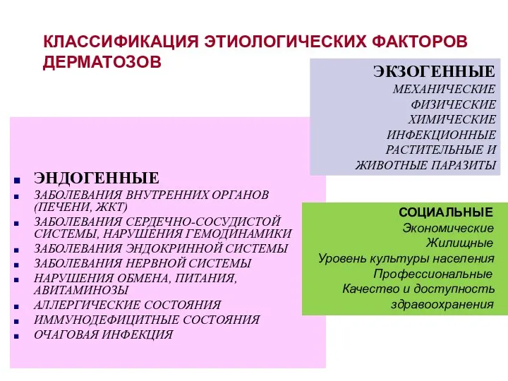 КЛАССИФИКАЦИЯ ЭТИОЛОГИЧЕСКИХ ФАКТОРОВ ДЕРМАТОЗОВ ЭНДОГЕННЫЕ ЗАБОЛЕВАНИЯ ВНУТРЕННИХ ОРГАНОВ (ПЕЧЕНИ, ЖКТ) ЗАБОЛЕВАНИЯ