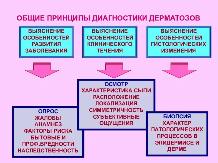 ОБЩИЕ ПРИНЦИПЫ ДИАГНОСТИКИ ДЕРМАТОЗОВ ВЫЯСНЕНИЕ ОСОБЕННОСТЕЙ РАЗВИТИЯ ЗАБОЛЕВАНИЯ ВЫЯСНЕНИЕ ОСОБЕННОСТЕЙ КЛИНИЧЕСКОГО