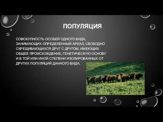 ПОПУЛЯЦИЯ СОВОКУПНОСТЬ ОСОБЕЙ ОДНОГО ВИДА, ЗАНИМАЮЩИХ ОПРЕДЕЛЕННЫЙ АРЕАЛ, СВОБОДНО СКРЕЩИВАЮЩИХСЯ ДРУГ