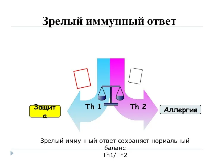 Зрелый иммунный ответ Зрелый иммунный ответ сохраняет нормальный баланс Th1/Th2