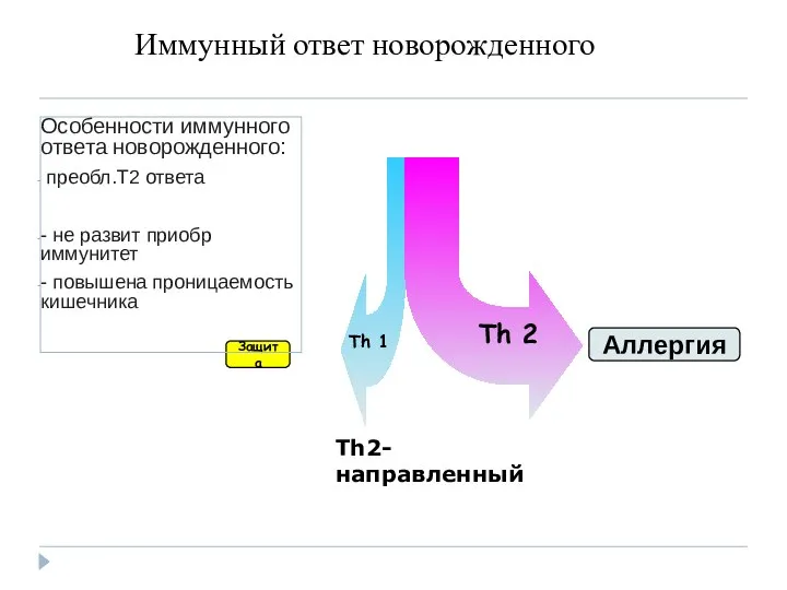 Иммунный ответ новорожденного Th 2 Th 1 Защита Aллергия Th2-направленный Особенности