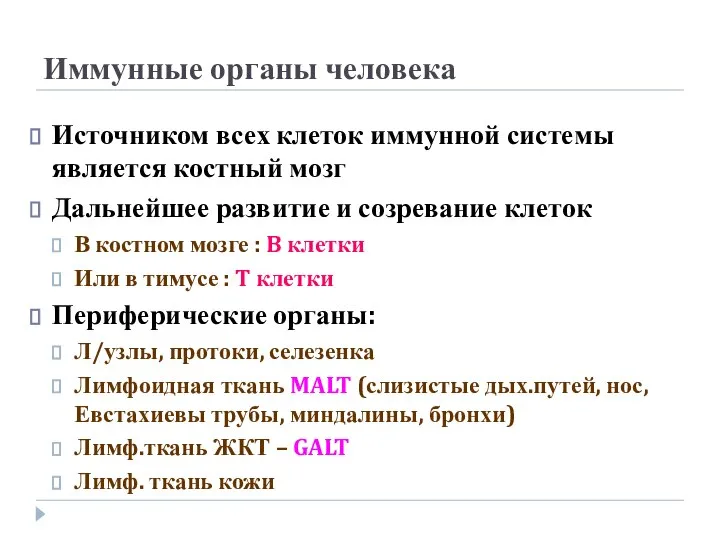 Иммунные органы человека Источником всех клеток иммунной системы является костный мозг