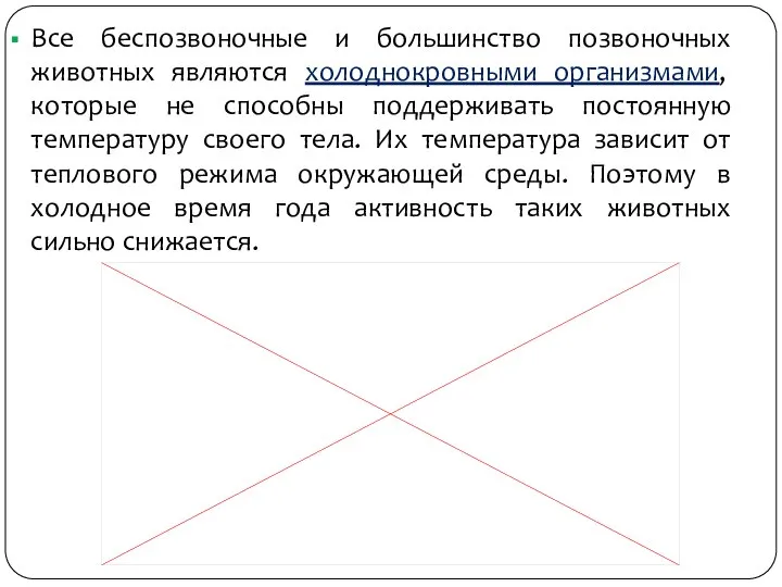 Все беспозвоночные и большинство позвоночных животных являются холоднокровными организмами, которые не