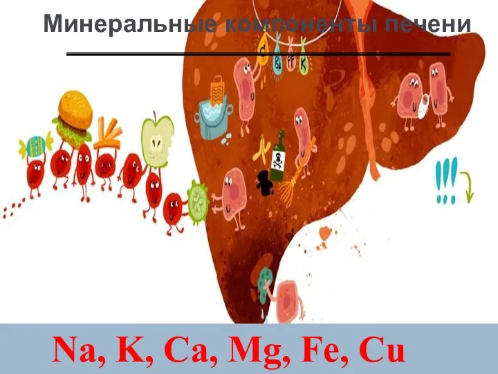 Минеральные компоненты печени Na, K, Ca, Mg, Fe, Cu