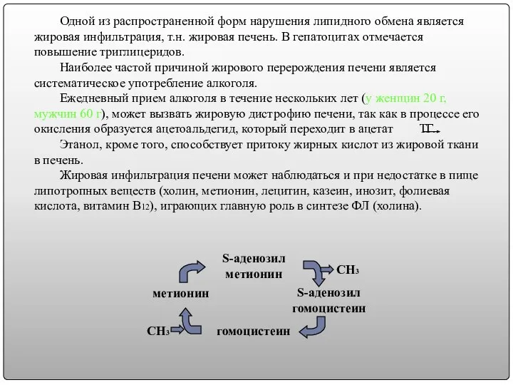 Одной из распространенной форм нарушения липидного обмена является жировая инфильтрация, т.н.