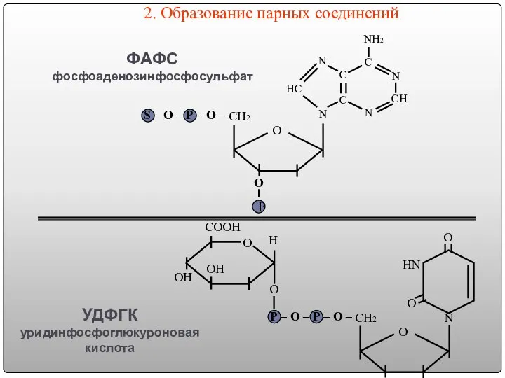 О CH2 S – О – Р – O – N