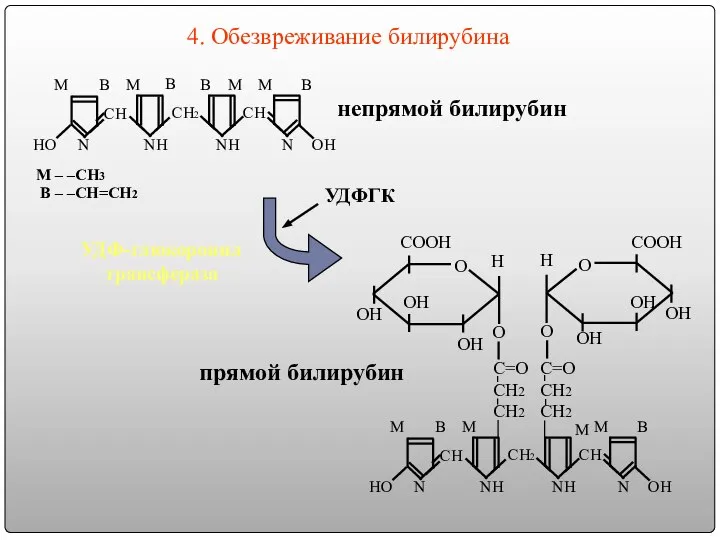 СН СН2 СН ОН НО NН NН N N M –