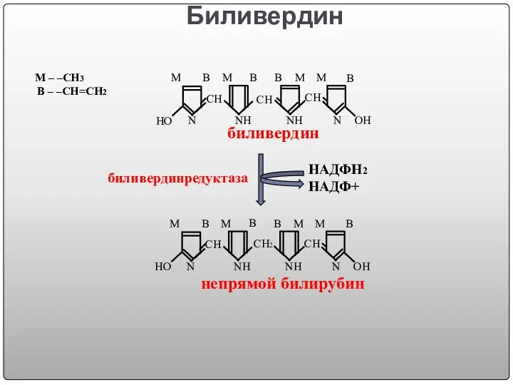 Биливердин СН СН2 СН ОН НО NН NН N N M