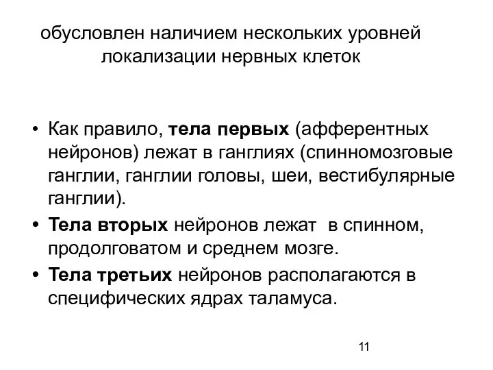 обусловлен наличием нескольких уровней локализации нервных клеток Как правило, тела первых