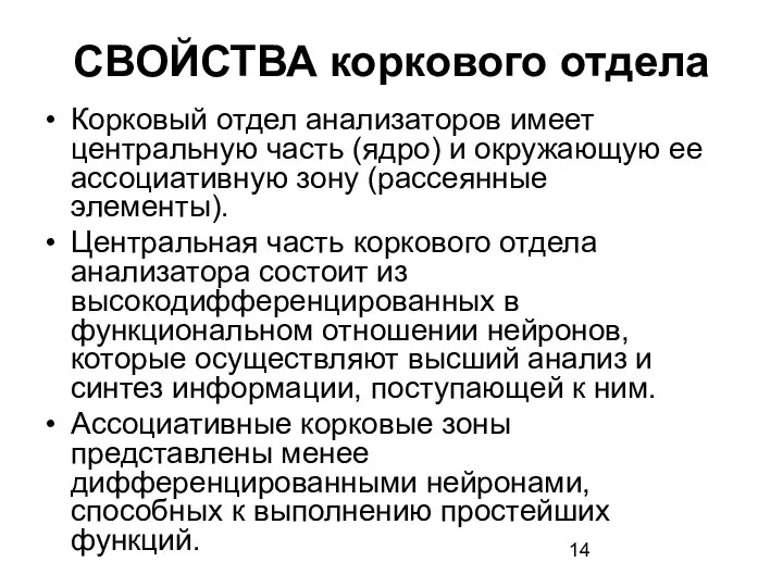 СВОЙСТВА коркового отдела Корковый отдел анализаторов имеет центральную часть (ядро) и