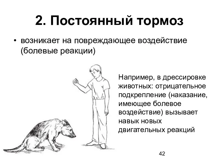 2. Постоянный тормоз возникает на повреждающее воздействие (болевые реакции) Например, в