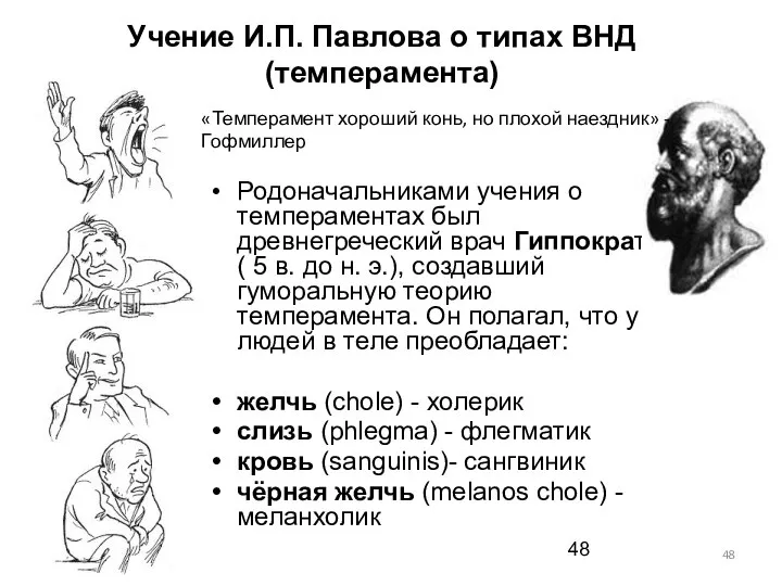 Учение И.П. Павлова о типах ВНД (темперамента) Родоначальниками учения о темпераментах