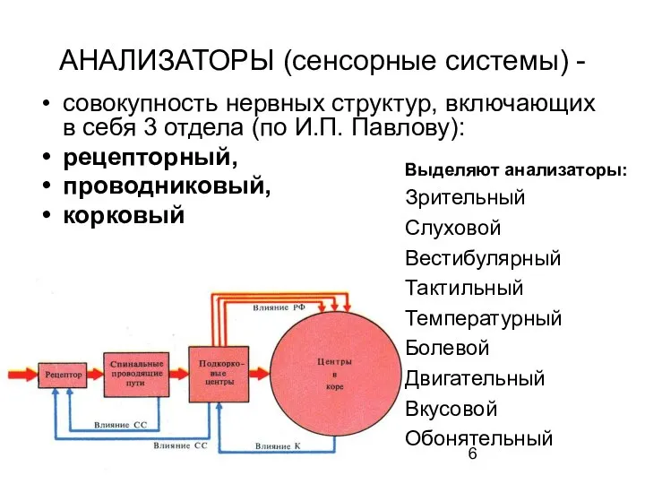 АНАЛИЗАТОРЫ (сенсорные системы) - совокупность нервных структур, включающих в себя 3