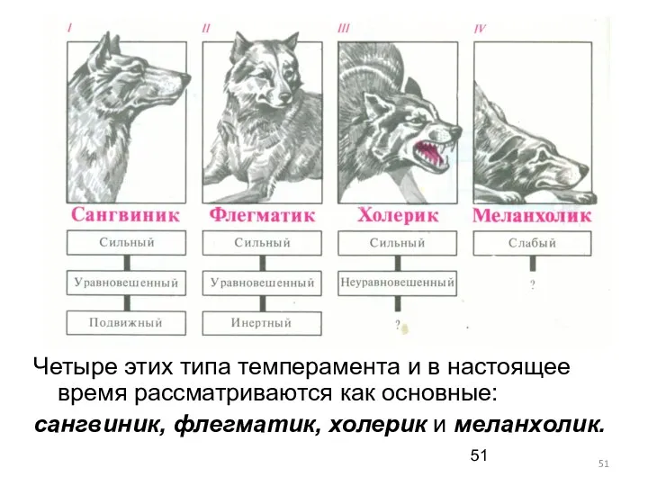 Четыре этих типа темперамента и в настоящее время рассматриваются как основные: сангвиник, флегматик, холерик и меланхолик.