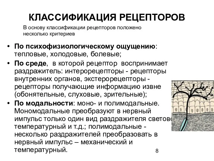 КЛАССИФИКАЦИЯ РЕЦЕПТОРОВ По психофизиологическому ощущению: тепловые, холодовые, болевые; По среде, в