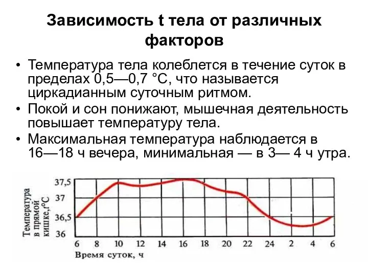 Зависимость t тела от различных факторов Температура тела колеблется в течение