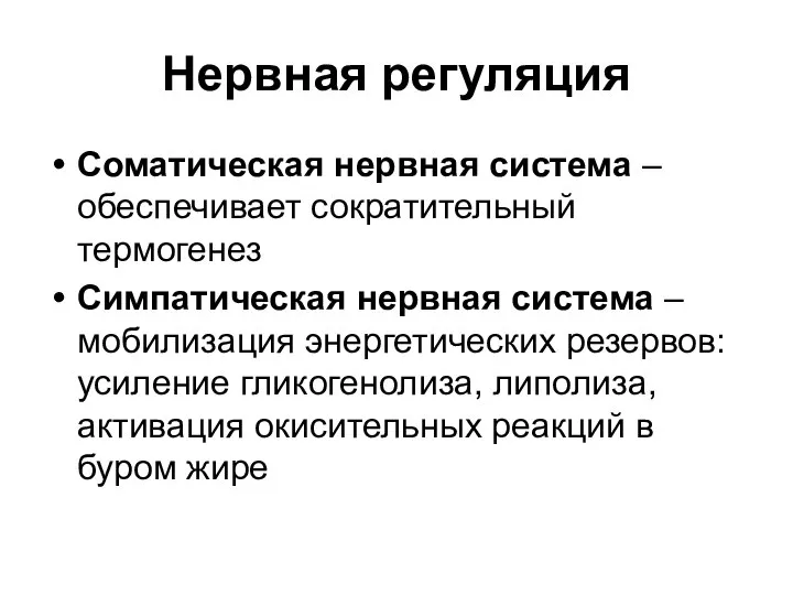 Нервная регуляция Соматическая нервная система – обеспечивает сократительный термогенез Симпатическая нервная