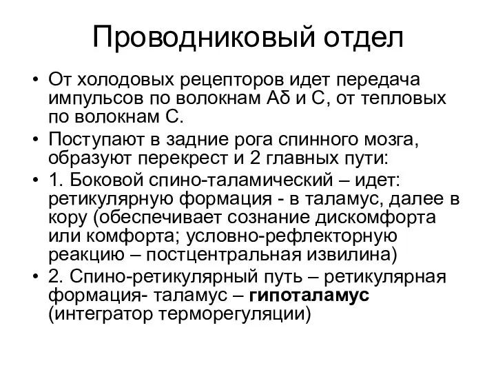 Проводниковый отдел От холодовых рецепторов идет передача импульсов по волокнам Аδ