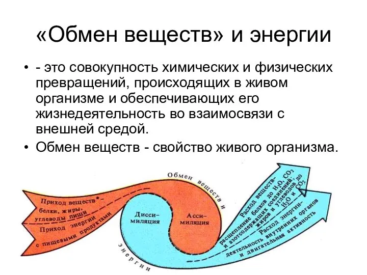 «Обмен веществ» и энергии - это совокупность химических и физических превращений,