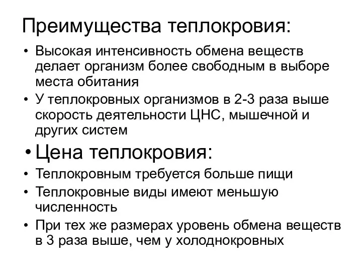 Преимущества теплокровия: Высокая интенсивность обмена веществ делает организм более свободным в