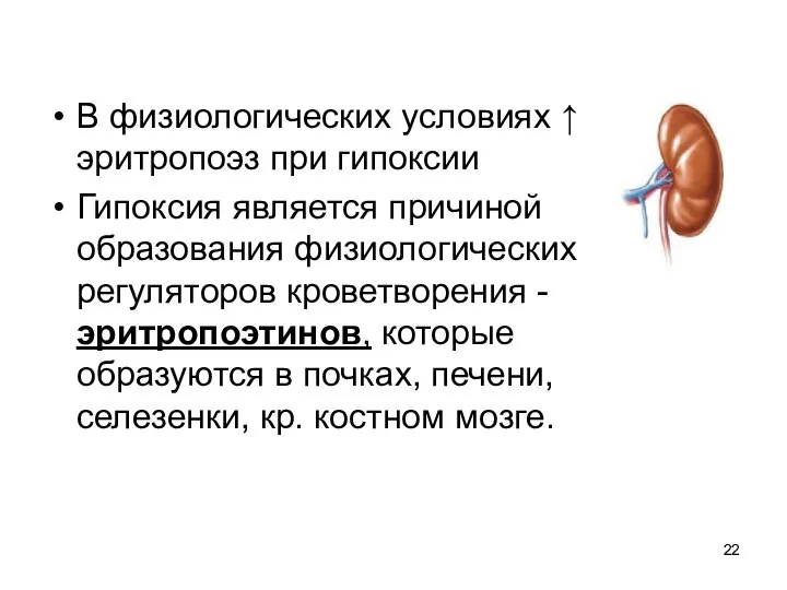 В физиологических условиях ↑ эритропоэз при гипоксии Гипоксия является причиной образования