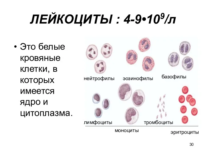 ЛЕЙКОЦИТЫ : 4-9•109/л Это белые кровяные клетки, в которых имеется ядро