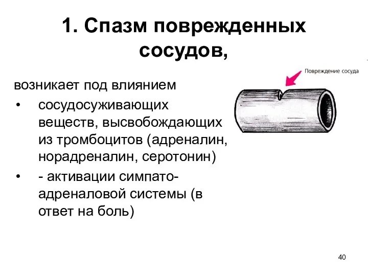 1. Спазм поврежденных сосудов, возникает под влиянием сосудосуживающих веществ, высвобождающих из