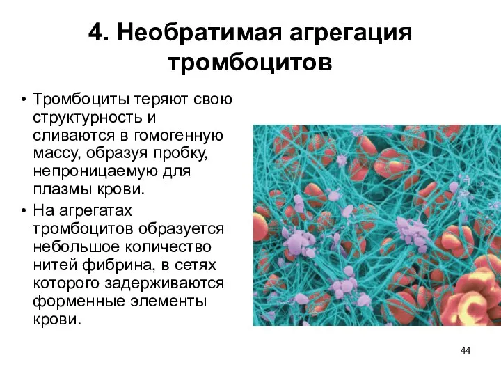 4. Необратимая агрегация тромбоцитов Тромбоциты теряют свою структурность и сливаются в