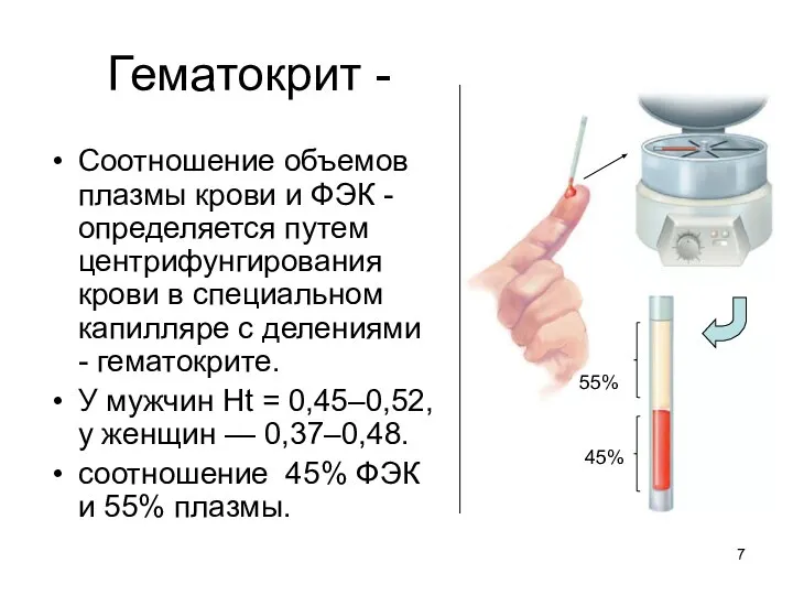 Гематокрит - Соотношение объемов плазмы крови и ФЭК - определяется путем