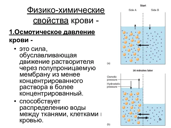 1.Осмотическое давление крови - это сила, обуславливающая движение растворителя через полупроницаемую