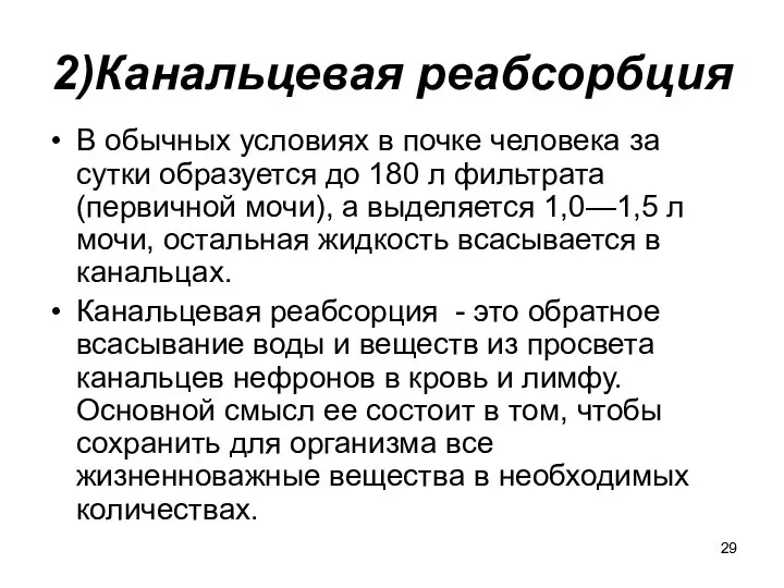 2)Канальцевая реабсорбция В обычных условиях в почке человека за сутки образуется