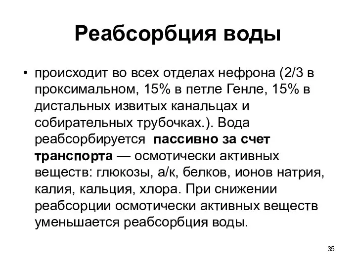 Реабсорбция воды происходит во всех отделах нефрона (2/3 в проксимальном, 15%