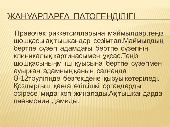 ЖАНУАРЛАРҒА ПАТОГЕНДІЛІГІ Правочек риккетсияларына маймылдар,теңіз шошқасы,ақ тышқандар сезімтал.Маймылдың бөртпе сүзегі адамдағы