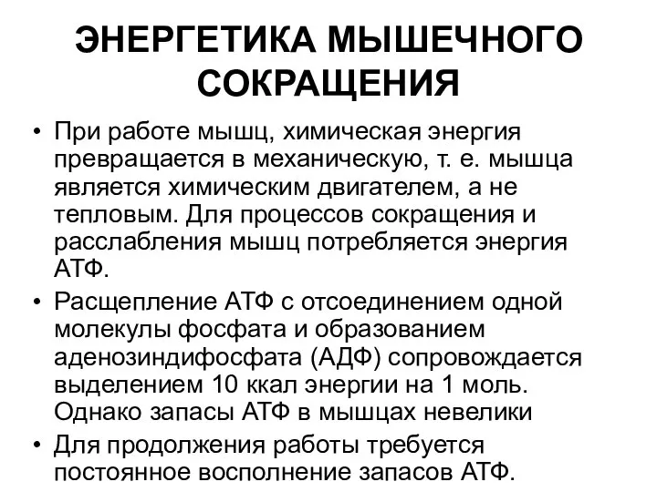 ЭНЕРГЕТИКА МЫШЕЧНОГО СОКРАЩЕНИЯ При работе мышц, химическая энергия превращается в механическую,