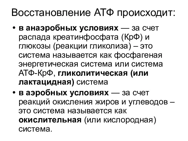 Восстановление АТФ происходит: в анаэробных условиях — за счет распада креатинфосфата