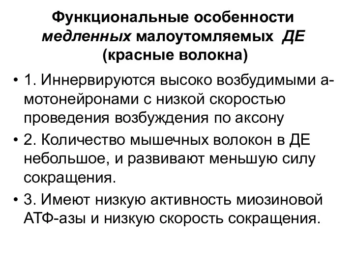 Функциональные особенности медленных малоутомляемых ДЕ (красные волокна) 1. Иннервируются высоко возбудимыми