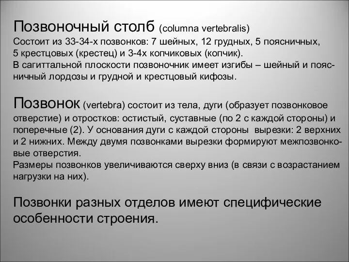 Позвоночный столб (columna vertebralis) Состоит из 33-34-х позвонков: 7 шейных, 12