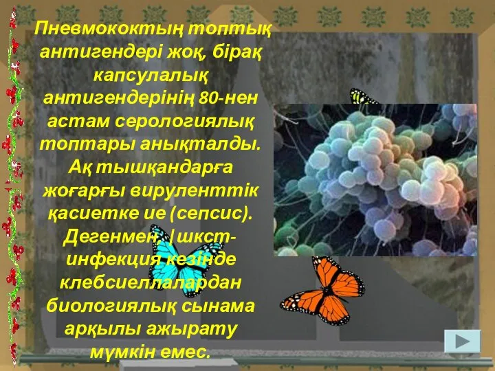 Пневмококтың топтық антигендері жоқ, бірақ капсулалық антигендерінің 80-нен астам серологиялық топтары