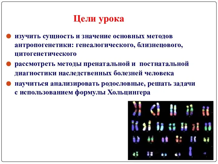 изучить сущность и значение основных методов антропогенетики: генеалогического, близнецового, цитогенетического рассмотреть