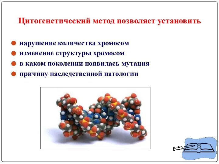 Цитогенетический метод позволяет установить нарушение количества хромосом изменение структуры хромосом в