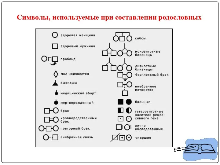 Символы, используемые при составлении родословных