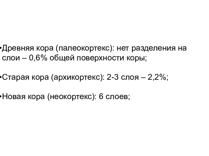 Древняя кора (палеокортекс): нет разделения на слои – 0,6% общей поверхности