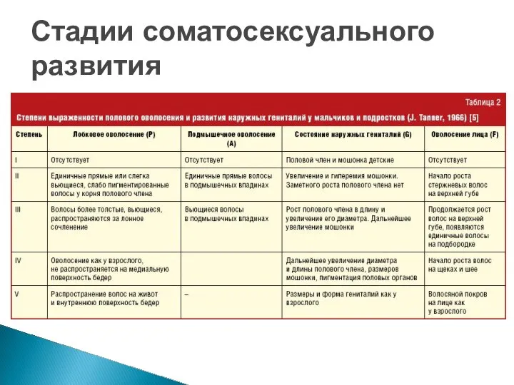 Стадии соматосексуального развития