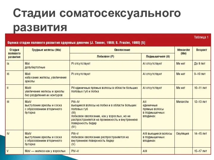 Стадии соматосексуального развития