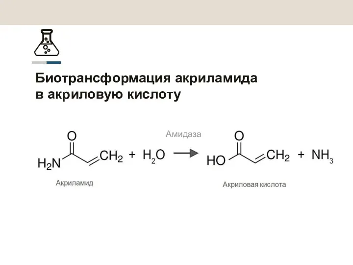 Амидаза Биотрансформация акриламида в акриловую кислоту