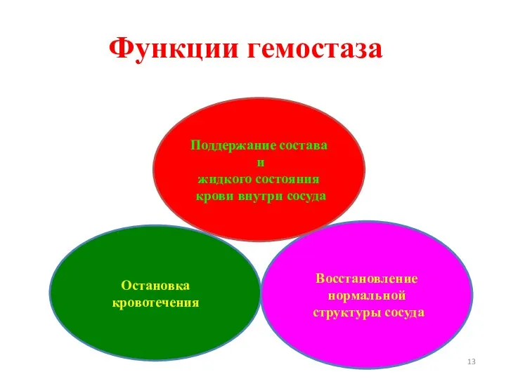 Функции гемостаза Восстановление нормальной структуры сосуда Поддержание состава и жидкого состояния крови внутри сосуда Остановка кровотечения