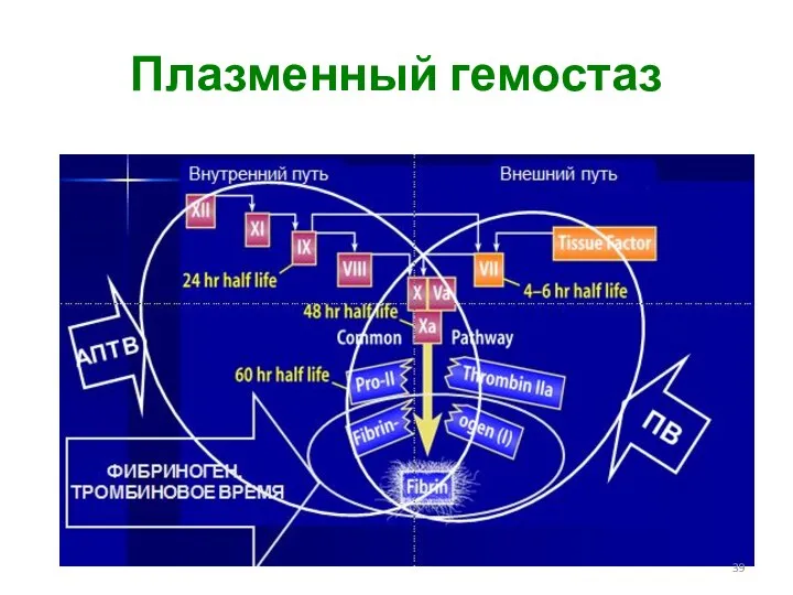 Плазменный гемостаз