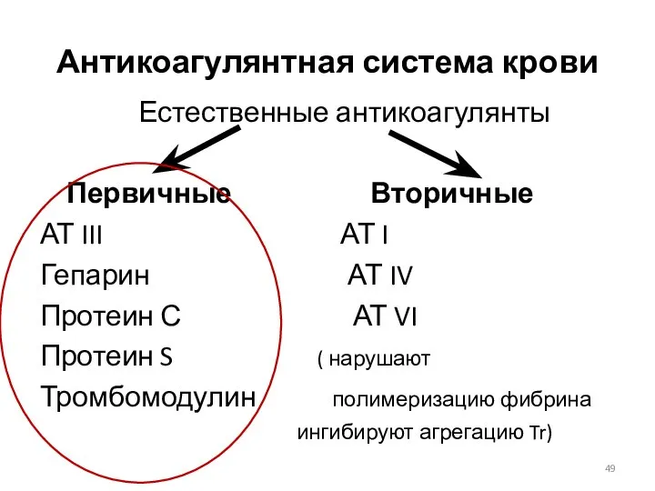 Антикоагулянтная система крови Естественные антикоагулянты Первичные Вторичные АТ III АТ I